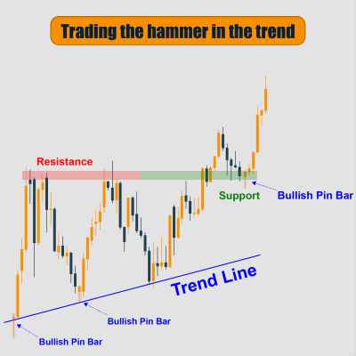 Trading The Hammer In The Trend